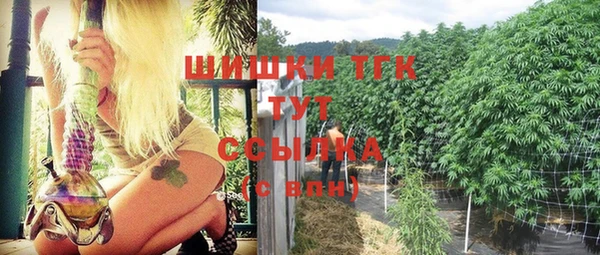 винт Бронницы