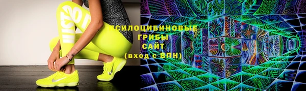 гидра Бугульма