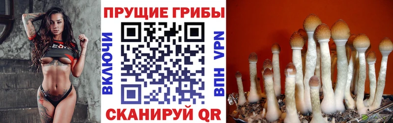 блэк спрут ССЫЛКА  Новотроицк  Псилоцибиновые грибы прущие грибы 